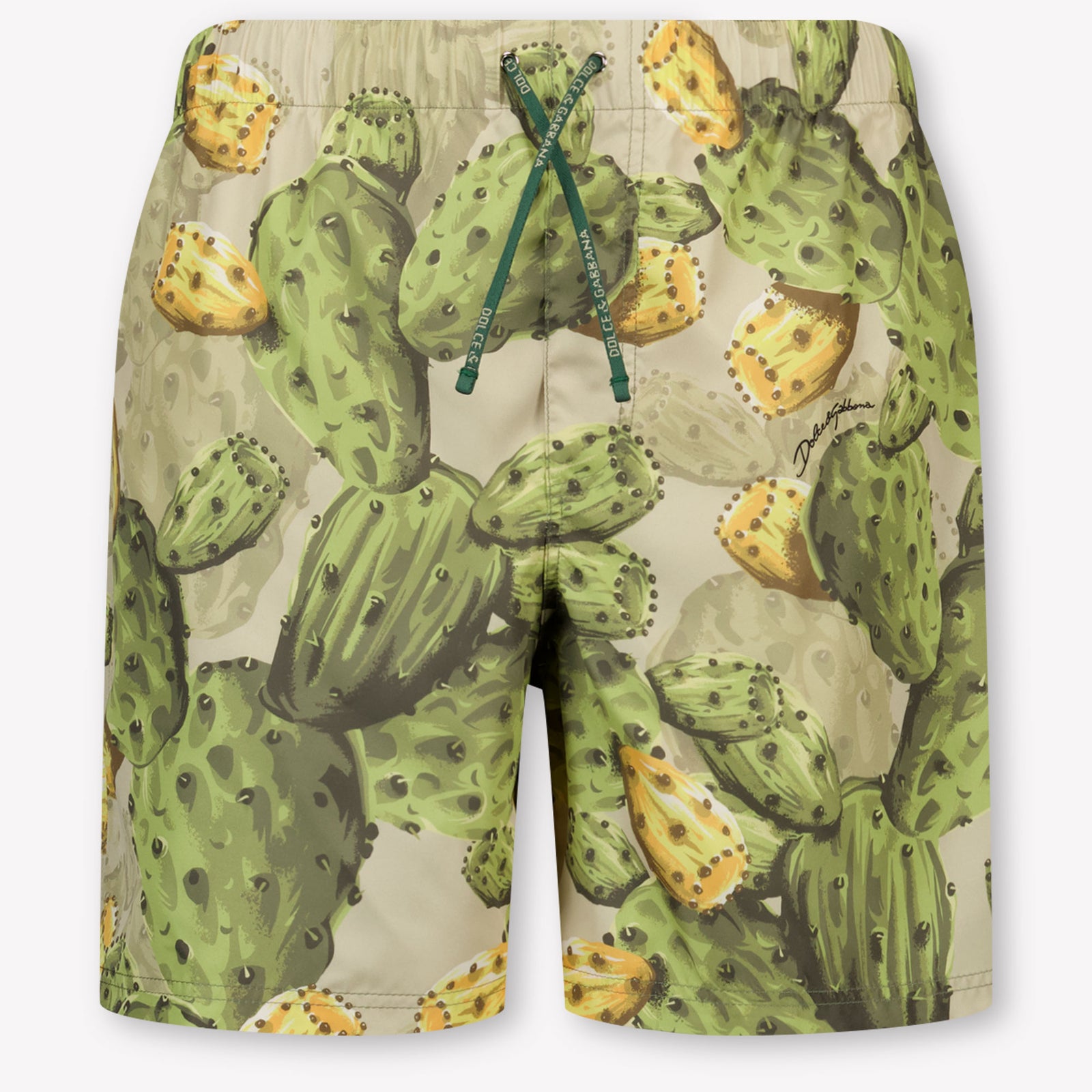 Dolce & Gabbana Kinder Jongens Zwemkleding In Groen