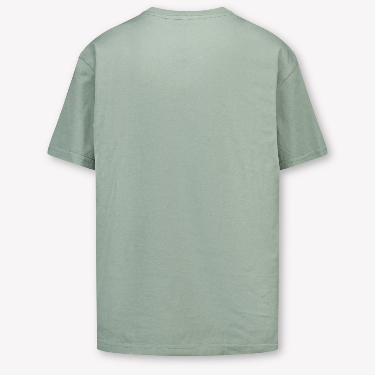 Dolce & Gabbana Kids Boys T-Shirt In Light Green