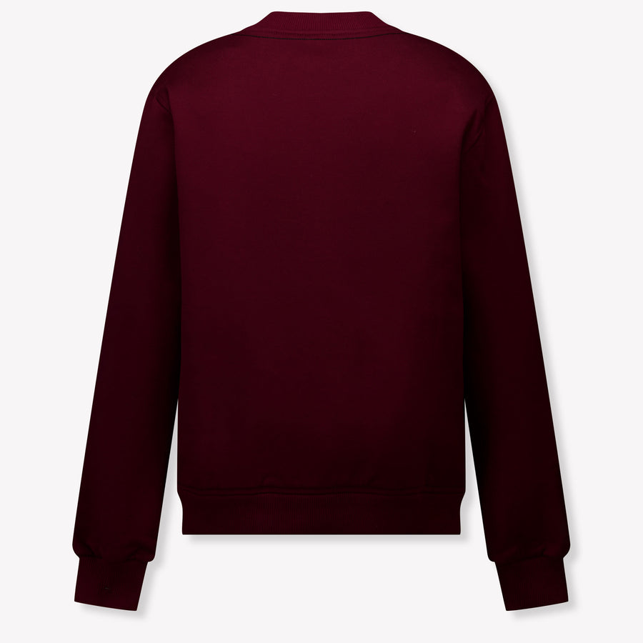 Dolce & Gabbana Kinder Jongens Trui In Bordeaux