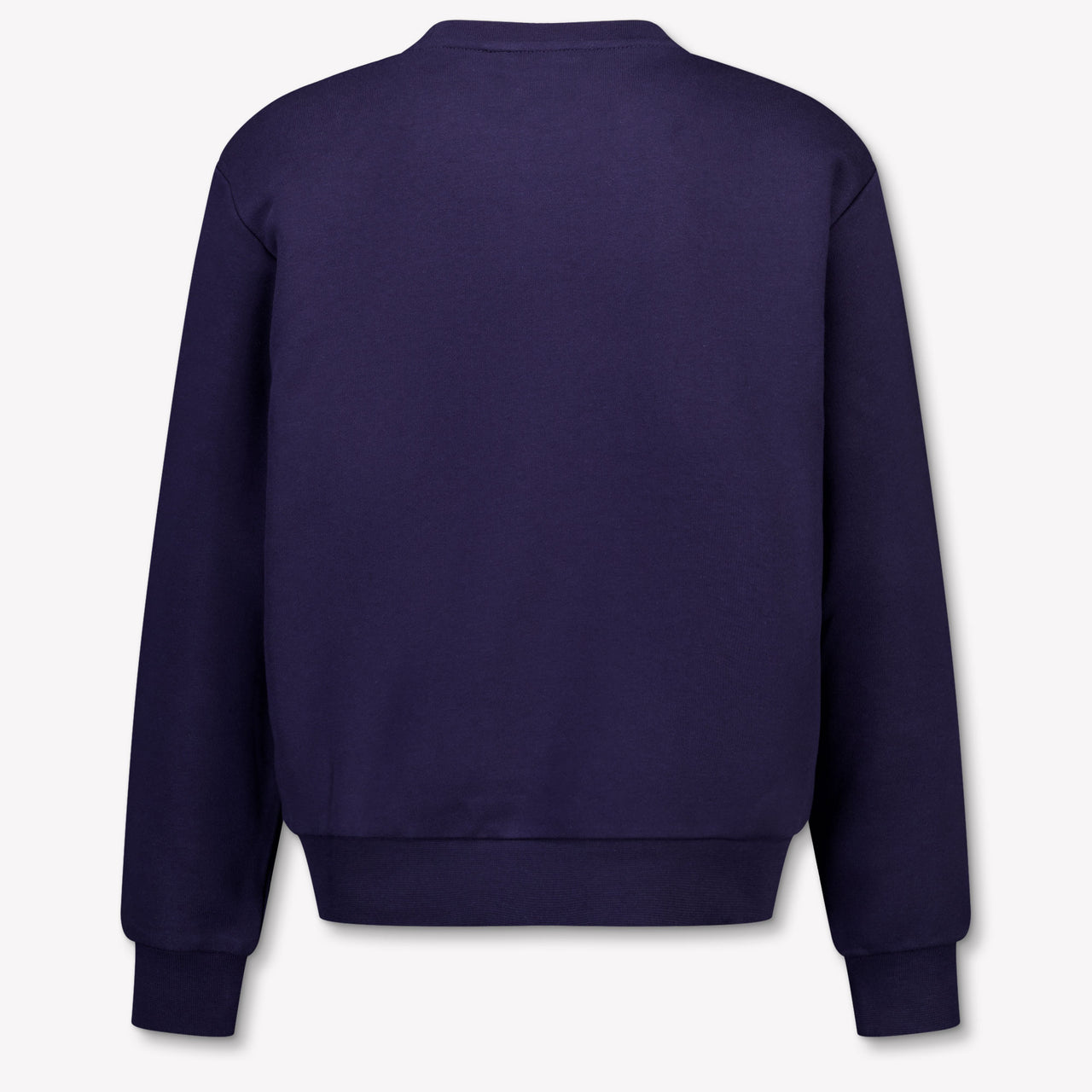 Iceberg Kids Boys Sweater In Navy