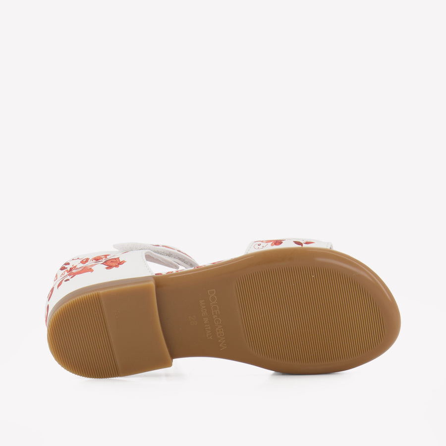 Dolce & Gabbana Meisjes Sandalen In Oranje