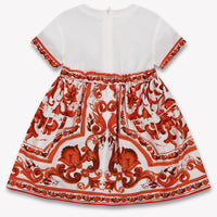 Dolce & Gabbana Baby Girls Dress In Orange