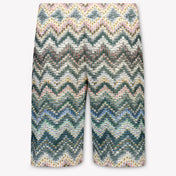 Missoni Kids Boys Swimwear In Green
