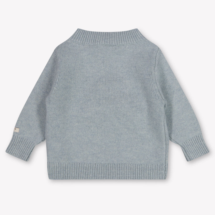Donsje Amsterdam Denn Baby Jongens Trui In Blauw