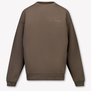 Airforce Kids Boys Sweater In Light Brown