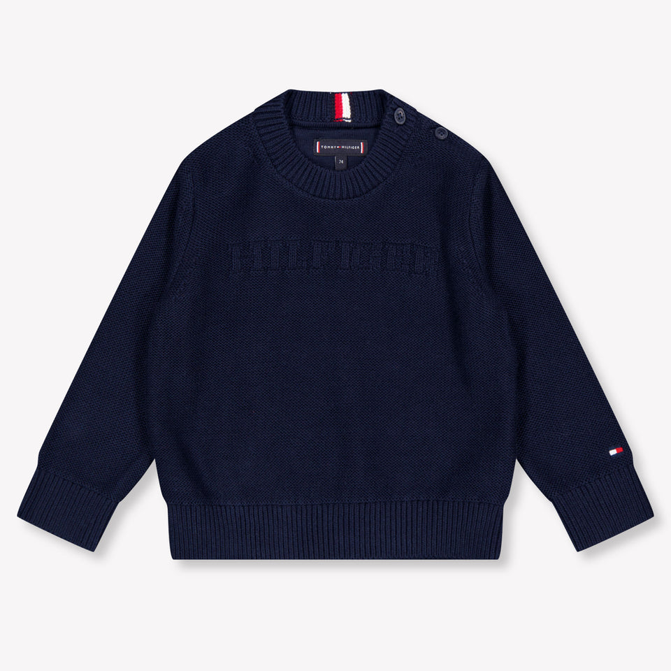 Tommy Hilfiger Baby Boys Sweater in Navy
