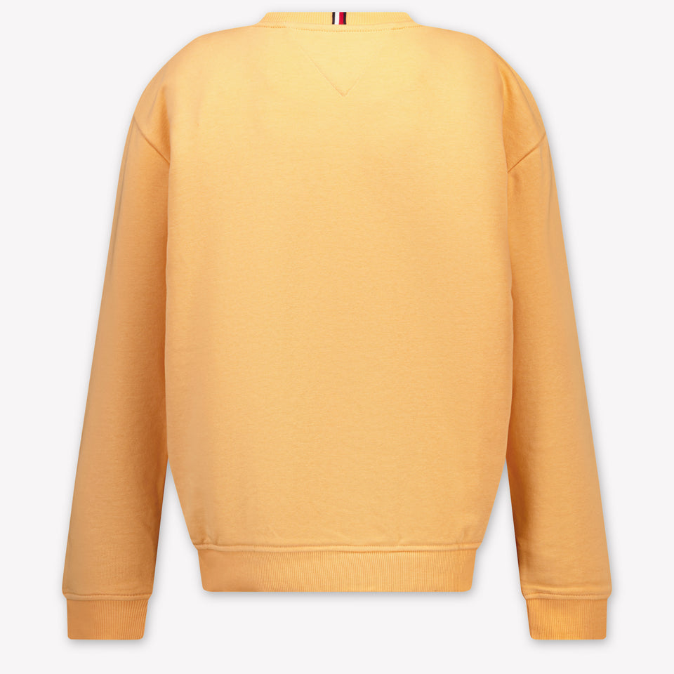 Tommy Hilfiger Kinder Jongens Trui In Zalm