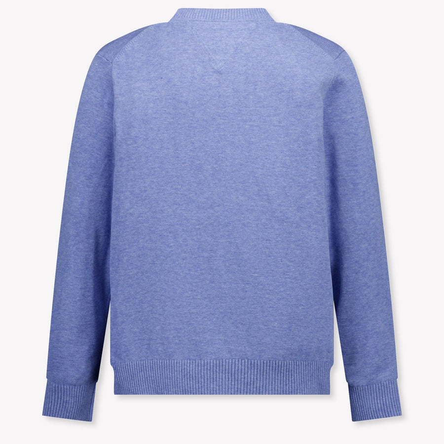 Tommy Hilfiger Kinder Jongens Trui In Licht Blauw
