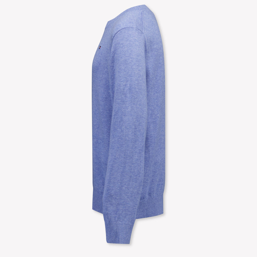 Tommy Hilfiger Kinder Jongens Trui In Licht Blauw