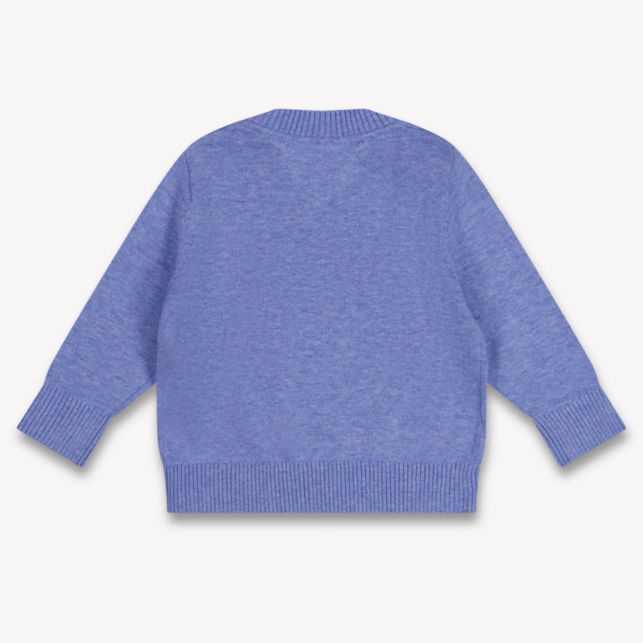 Tommy Hilfiger Baby Jongens Trui In Blauw