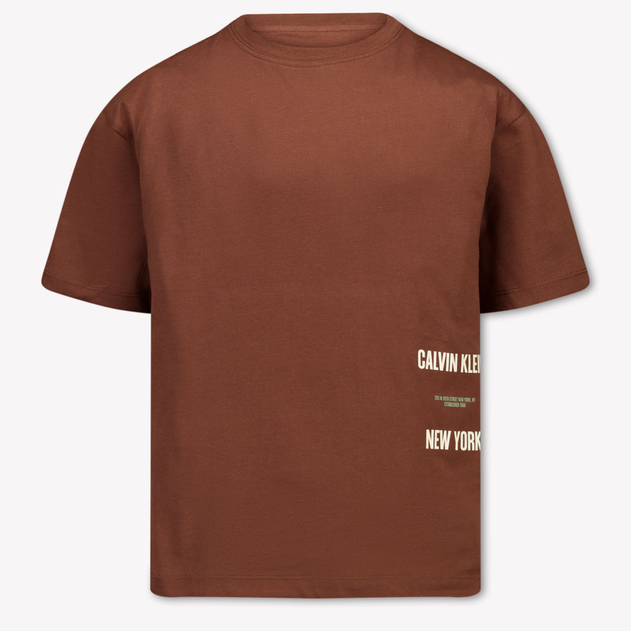 Calvin Klein Boys T-Shirt in Brown