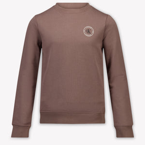 Calvin Klein Kids Boys Sweater In Gray