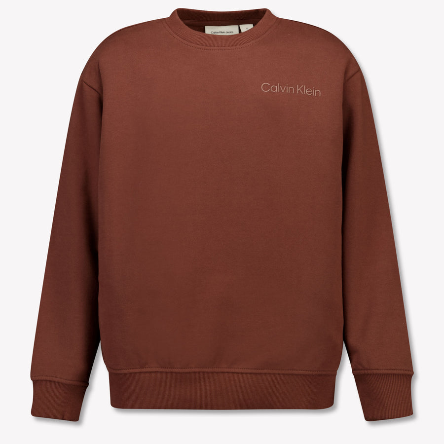 Calvin Klein Boys Sweater in Brown