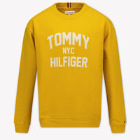 Tommy Hilfiger Kids Boys Sweater In Yellow