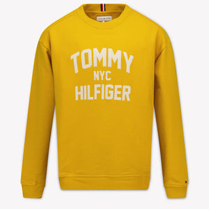 Tommy Hilfiger Kids Boys Sweater In Yellow