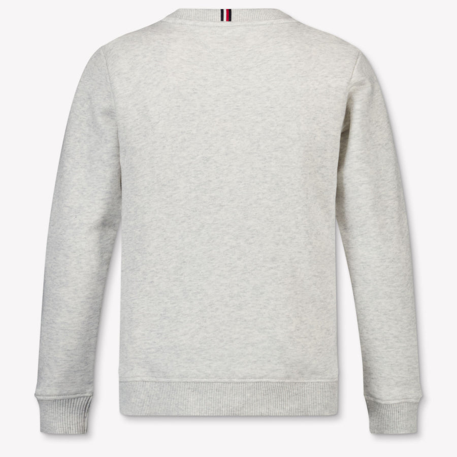Tommy Hilfiger Kinder Jongens Trui In Grijs