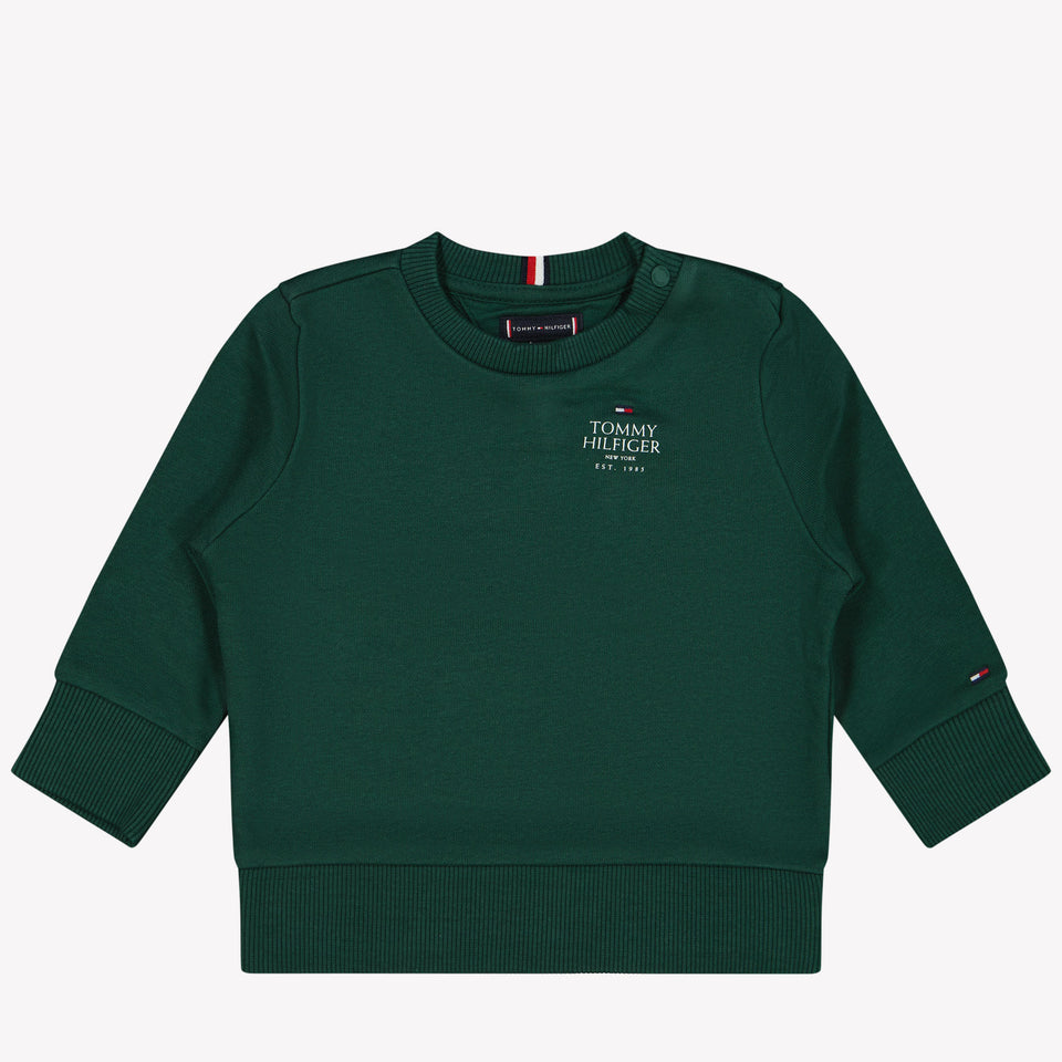 Tommy Hilfiger Baby boys sweater Green