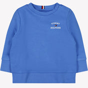 Tommy Hilfiger Baby Boys Sweater Blue
