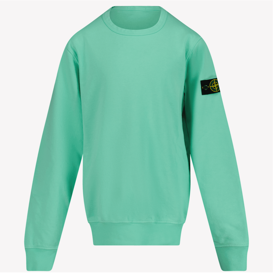 Mint stone island jumper hotsell