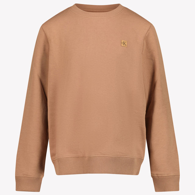 Trui calvin klein kind sale