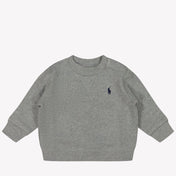 Ralph Lauren Baby Jongens Trui In Licht Grijs